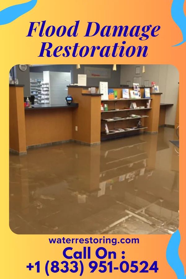 Flood Damage Restoration in Progreso, TX