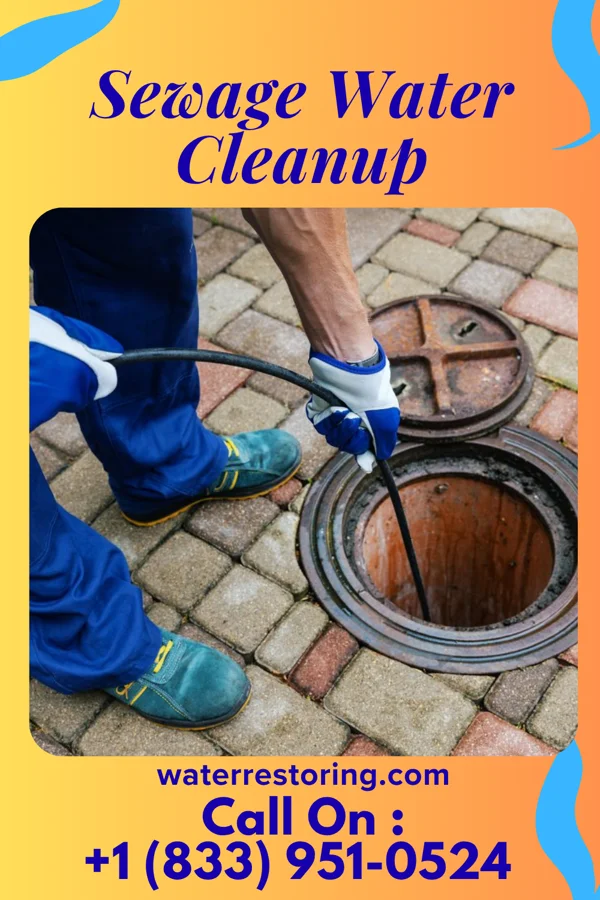 Sewage Water Cleanup in Progreso, TX