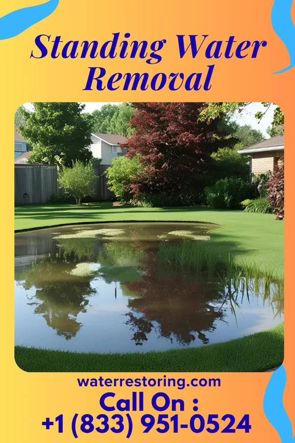 Standing Water Removal in Progreso, TX